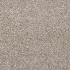 Colorline 60x60x4 cm Greige