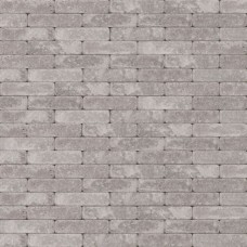 Trommel opritsteen 20x5x7 cm Antica taupe Trommel opritsteen 20x5x7 cm Antica taupe