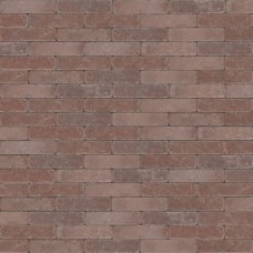 Trommel opritsteen 20x5x7 cm Antica rood bruin Trommel opritsteen 20x5x7 cm Antica rood bruin