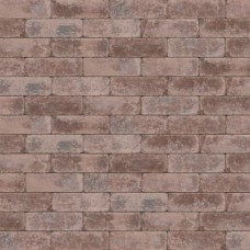 Trommel opritsteen 21x7x8 cm Antica rood bruin Trommel opritsteen 21x7x8 cm Antica rood bruin