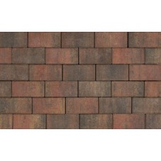 Tremico Betonklinker 21x10,5x7 cm Bont Tremico Betonklinker 21x10,5x7 cm Bont