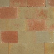 Vlaksteen 20x30x6 cm Terrageel