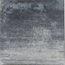 Tremico 60x60x6 cm Zeeuws bont