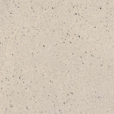 Schellevis Oudhollands Tegel 200x100x10 cm Crème