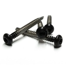 RVS schroef met gekleurde top voor NTW Castellation PRO set a 50 stuks met bit Ebony zwart RVS schroef met gekleurde top voor NTW Castellation PRO set a 50 stuks met bit Ebony zwart