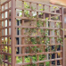 Trellis hardhout recht 180x180 cm