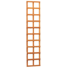 Hardhout trellis rechthoek 40x180 cm