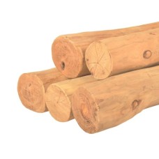 Ronde paal robinia spintvrij geschuurd Ø15-19 cm Ronde paal robinia spintvrij geschuurd Ø15-19 cm