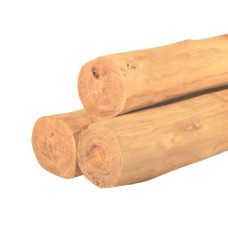 Ronde paal robinia spintvrij geschuurd Ø20-24x550 cm Ronde paal robinia spintvrij geschuurd Ø20-24x550 cm