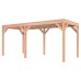 Douglas overkapping geschaafd 550x250 cm asymmetrisch 2