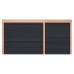 Douglas overkapping geschaafd 500x250 cm asymmetrisch zwarte wanden