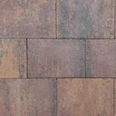Straksteen 20x30x6 cm paars gv Straksteen 20x30x6 cm paars gv