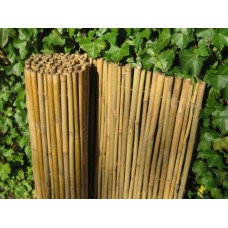 Bamboe rolscherm Dalian 180 cm Bamboe rolscherm Dalian 180 cm