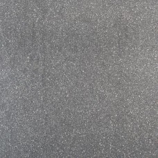 Fossil line 60x60x3 cm lingula Fossil line 60x60x3 cm lingula