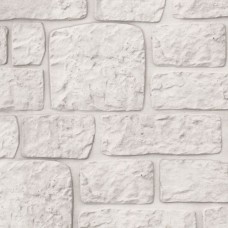 Betonnen onderplaat grijs 4,8x36x184 cm romiensmotief dubbelzijdig Betonnen onderplaat grijs 4,8x36x184 cm romiensmotief dubbelzijdig