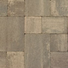 Abbeystones wildverband 6 cm grigio