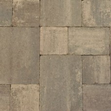 Abbeystones wildverband 6 cm grigio Abbeystones wildverband 6 cm grigio