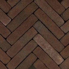 Gebakken waalformaat Art bricks 5x20x6,5 cm Vermeer Gebakken waalformaat Art bricks 5x20x6,5 cm Vermeer