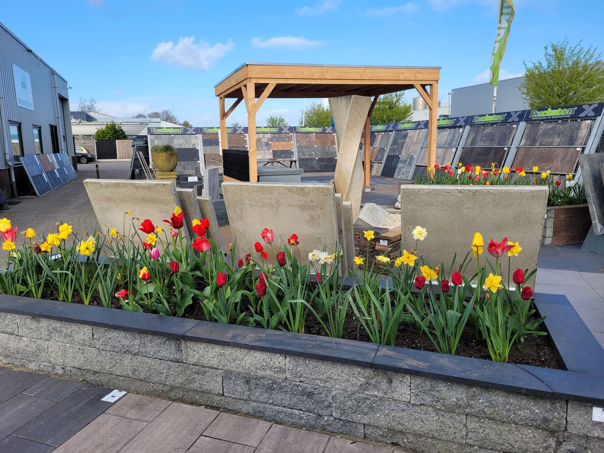 entoonstelling van bloeiende tulpen en narcissen in betonnen plantenbakken bij Zamsierbestrating, met een houten pergola en verschillende bestratingsmaterialen op de achtergrond.